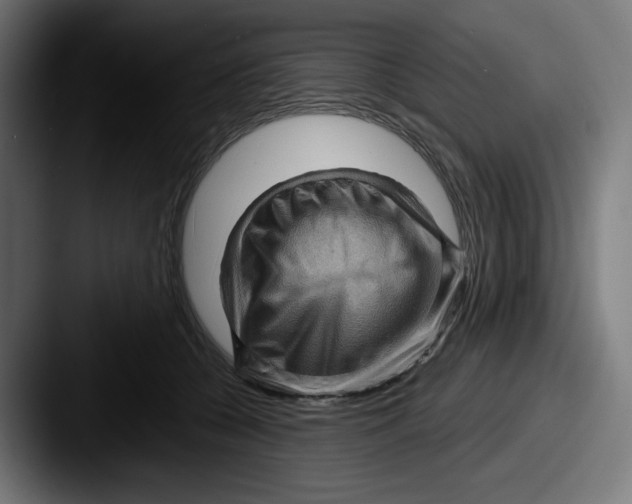 X0000087590560200705181221