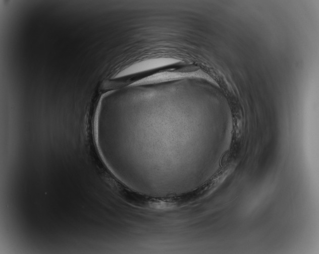 X0000087590561200705181221