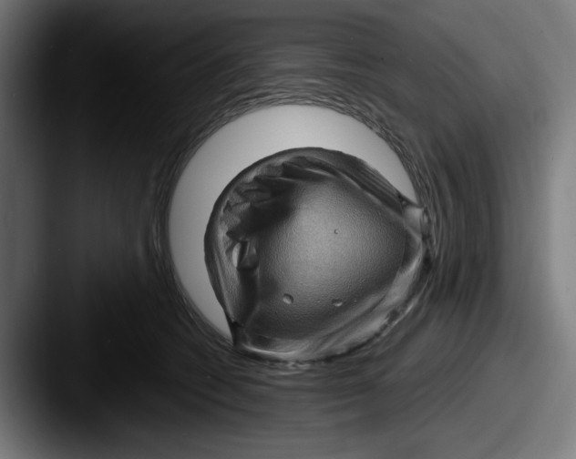 X0000087590562200705181221