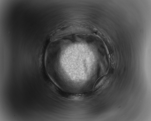 X0000087590563200705181221