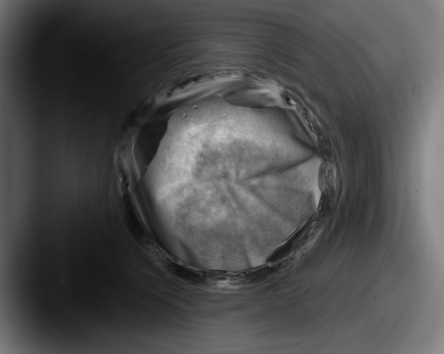 X0000087590564200705181221