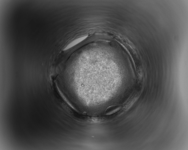 X0000087590565200705181221