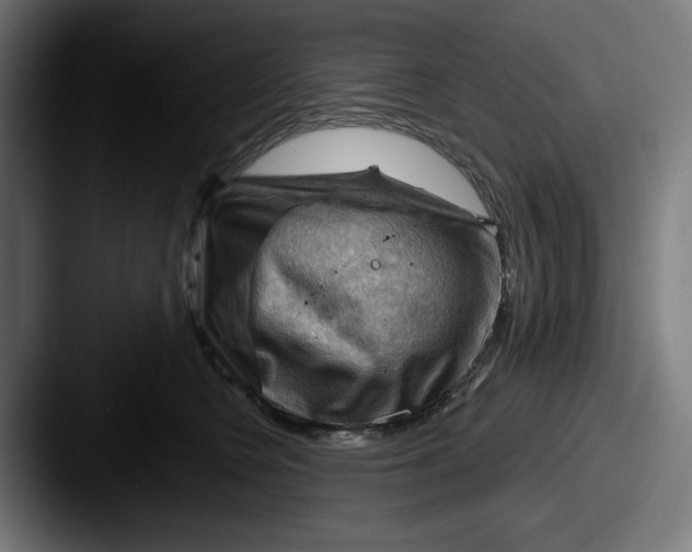 X0000087590566200705181221