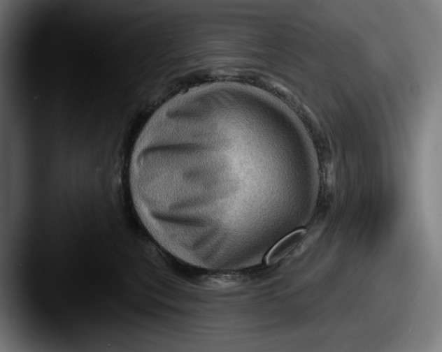 X0000087590567200705181221