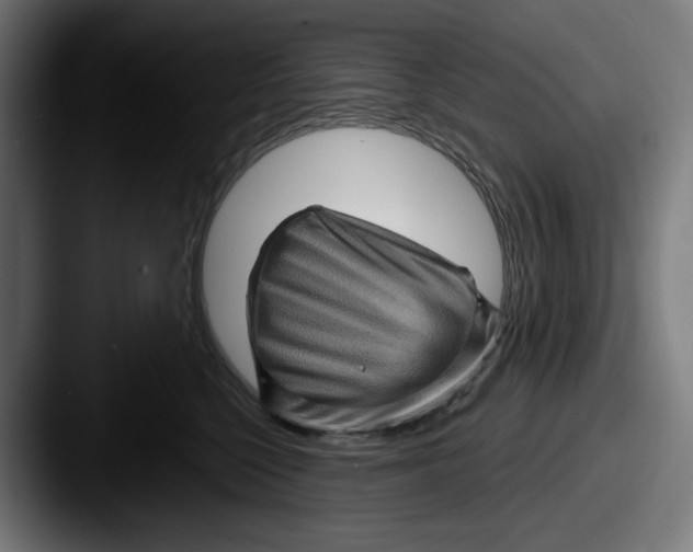 X0000087590568200705181221