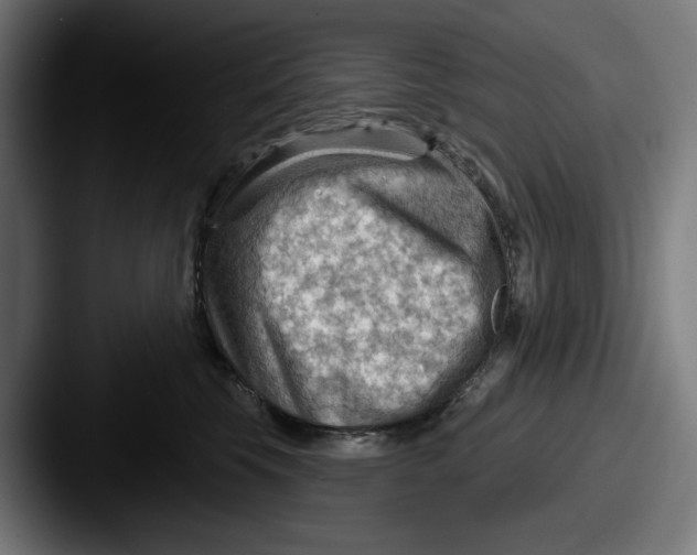 X0000087590569200705181221