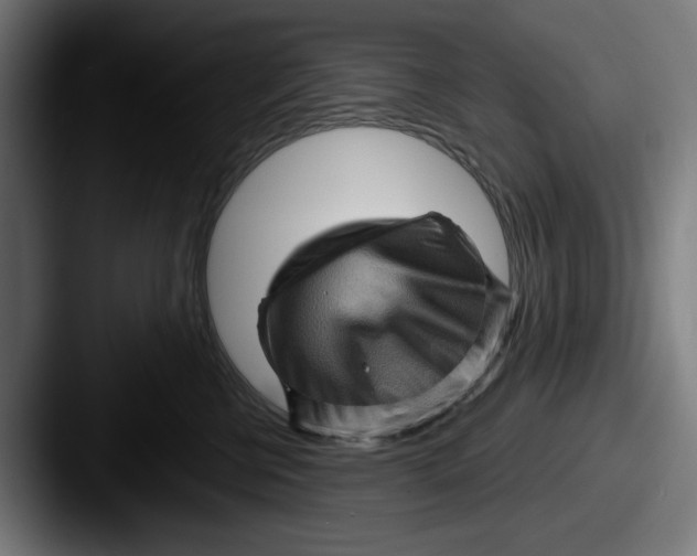 X0000087590570200705181221