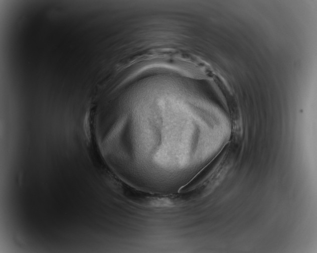 X0000087590572200705181221