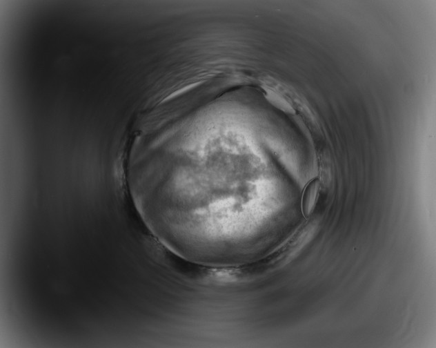 X0000087590573200705181221