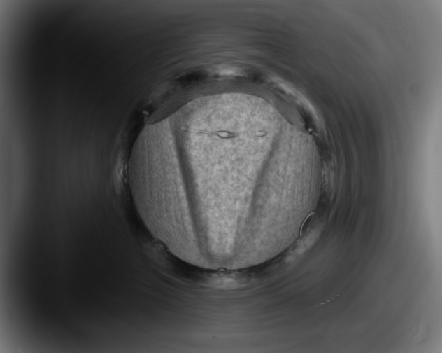 X0000087590574200705181221