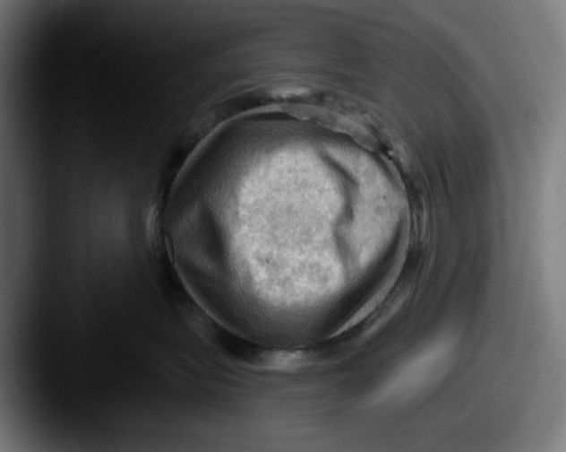 X0000087590575200705181221