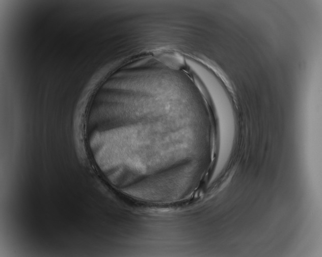 X0000087590577200705181221