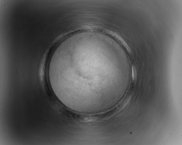 X0000087590579200705181221