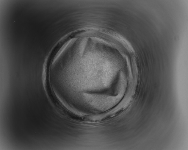 X0000087590580200705181221