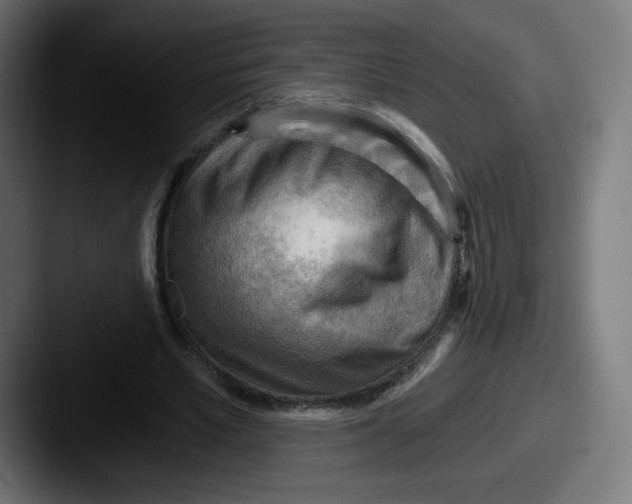 X0000087590581200705181221