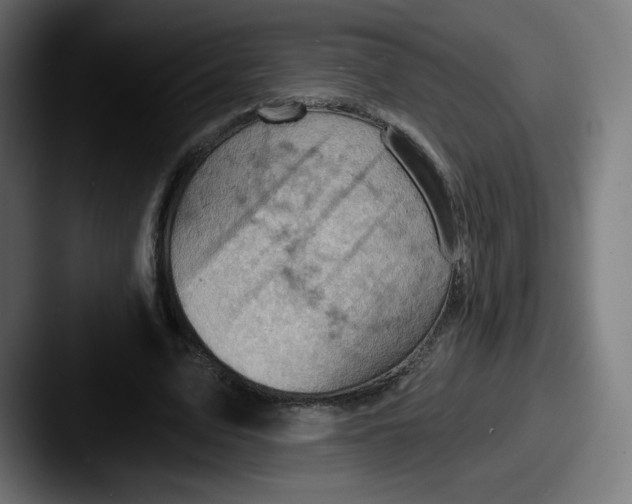 X0000087590583200705181220