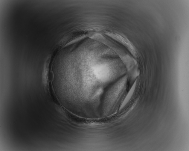 X0000087590585200705181220