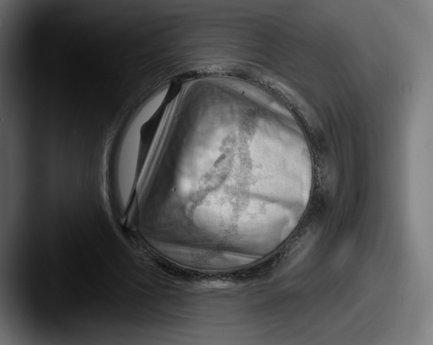 X0000087590586200705181220