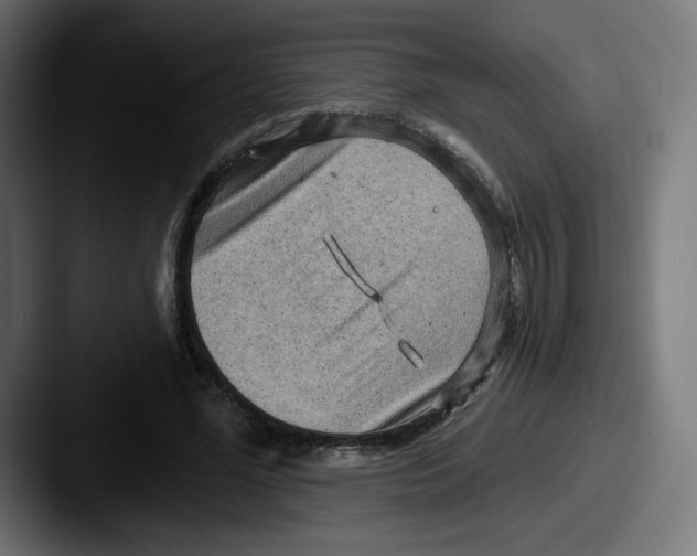 X0000087590588200705181220