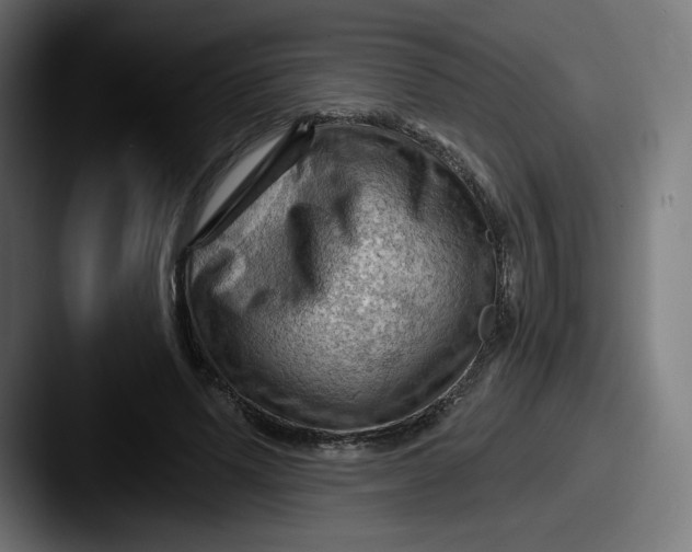 X0000087590591200705181220