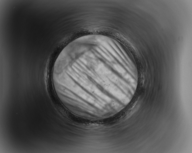 X0000087590592200705181220