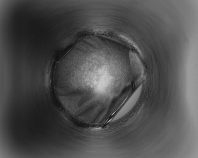 X0000087590593200705181220