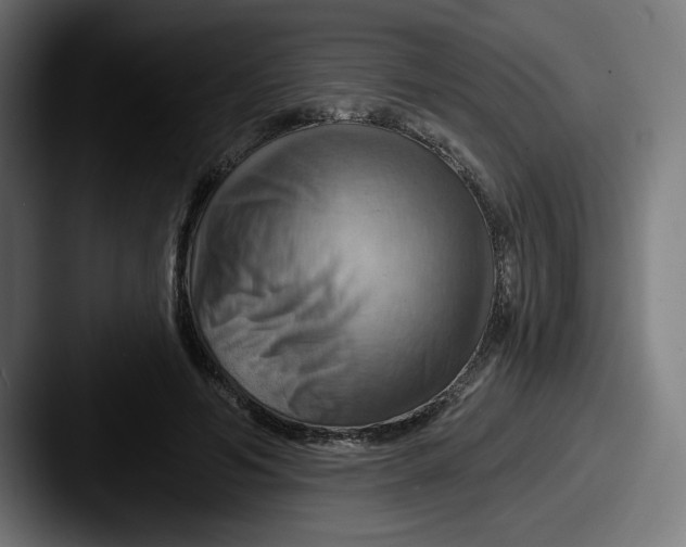 X0000087590594200705181220