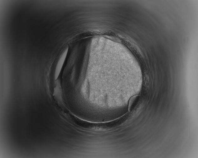 X0000087590596200705181220