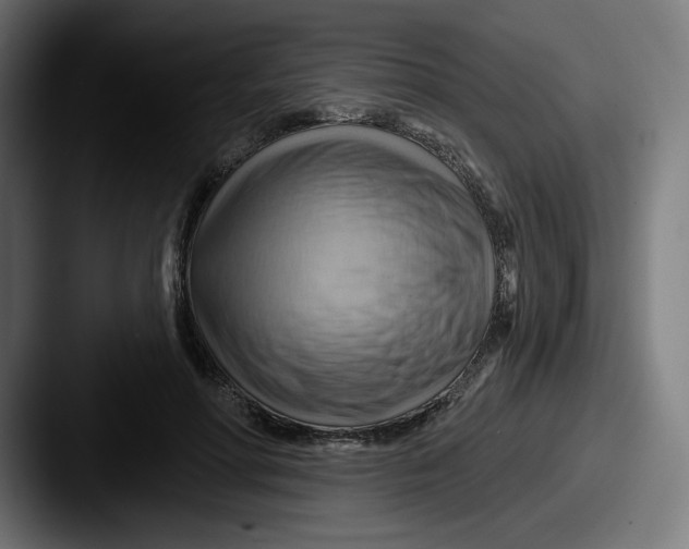 X0000087590598200705181220