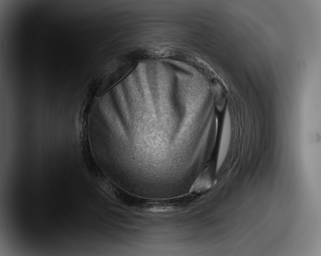 X0000087590601200705181220