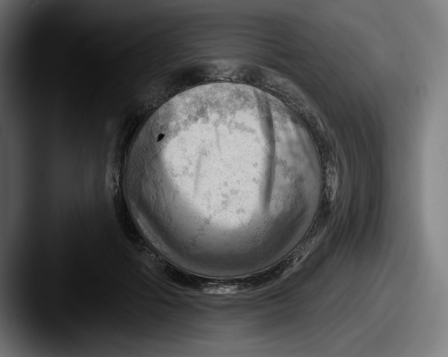 X0000087590602200705181220