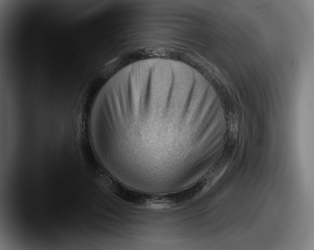 X0000087590603200705181220