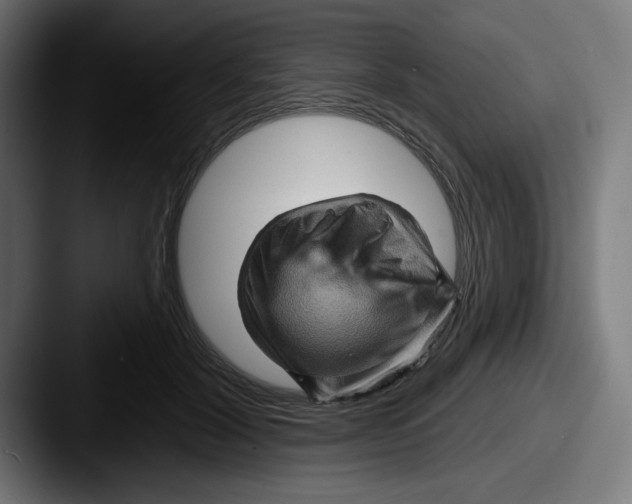 X0000087590604200705181220