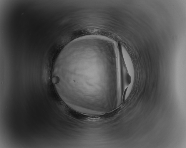 X0000087590606200705181220