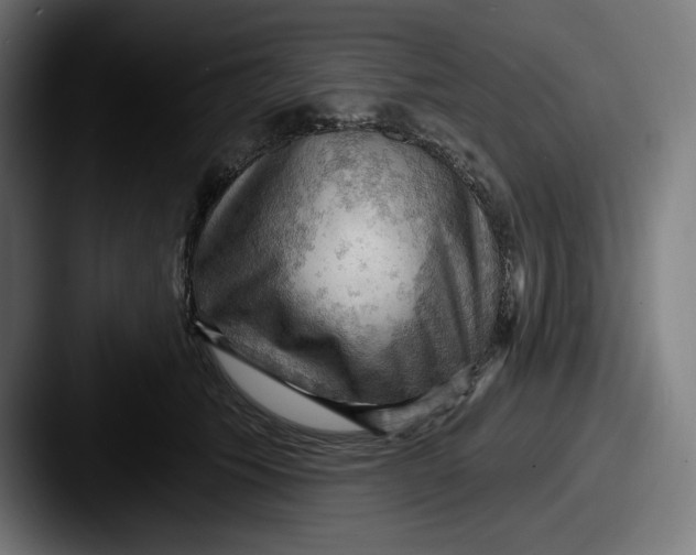 X0000087590609200705181220