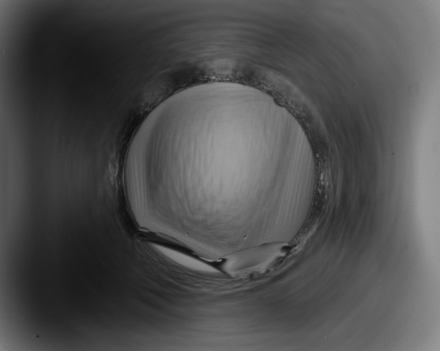 X0000087590610200705181220