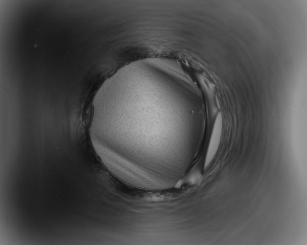 X0000087590613200705181220