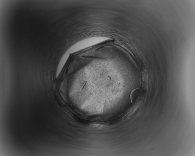 X0000087590614200705181220