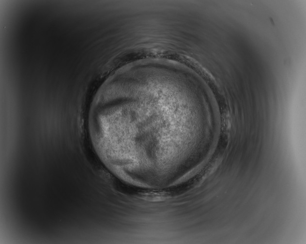 X0000087590615200705181220