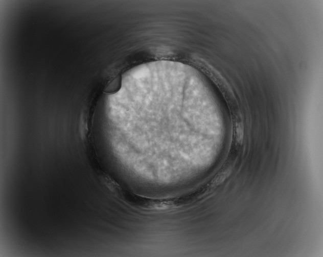 X0000087590618200705181220