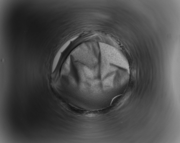 X0000087590620200705181220