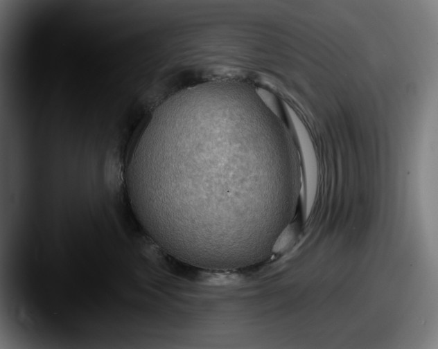 X0000087590621200705181220