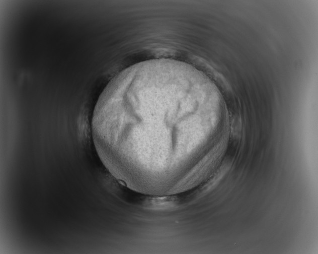 X0000087590622200705181220