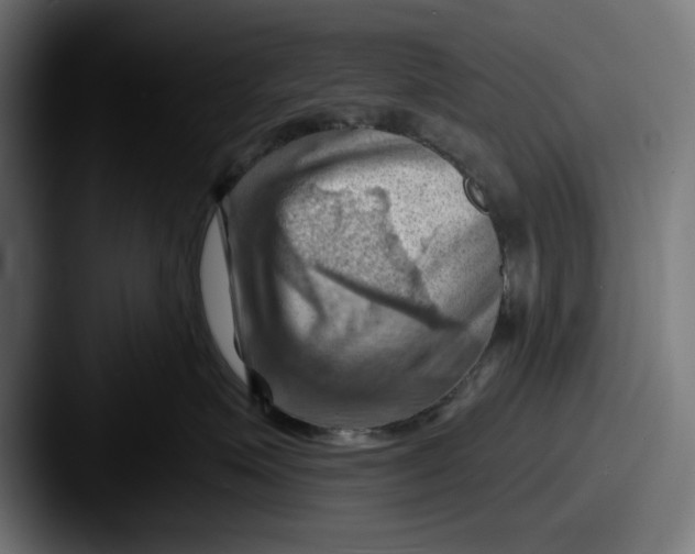 X0000087590623200705181220