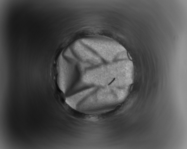 X0000087590624200705181220