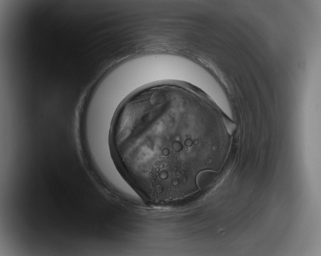 X0000087590626200705181219