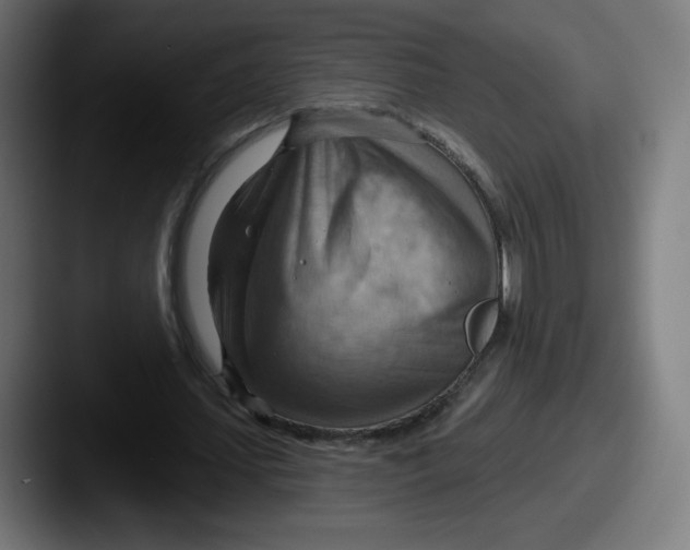 X0000087590627200705181219