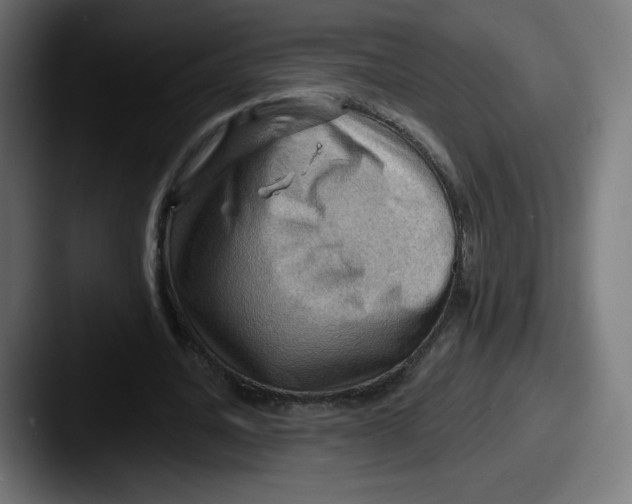 X0000087590628200705181219