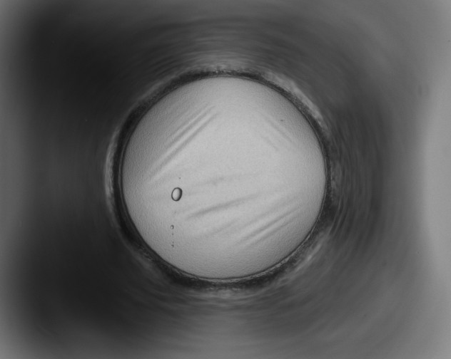 X0000087590629200705181219