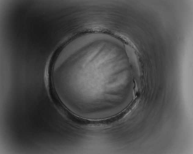 X0000087590630200705181219